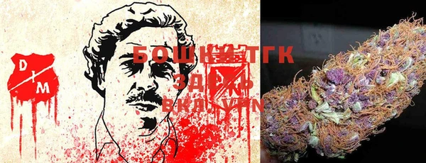 гидра Белокуриха
