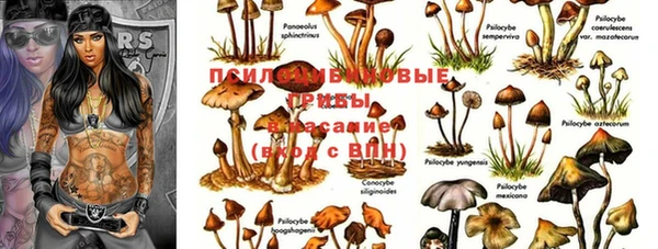гидра Белокуриха