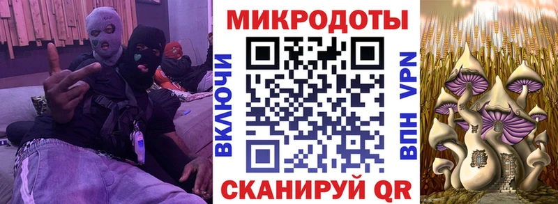 Псилоцибиновые грибы Cubensis  Вяземский 